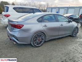 Kia Pozostałe 2024 1