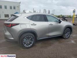 Lexus NX 2025 2 Lexus NX 2025 2
