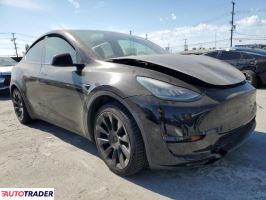 Tesla Model Y 2021 Tesla Model Y 2021