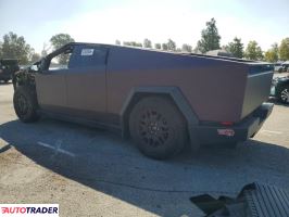 Tesla Pozostałe 2024