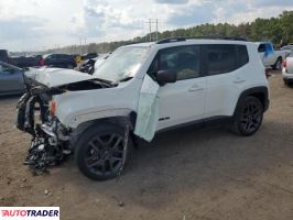Jeep Renegade 2021 2 Jeep Renegade 2021 2