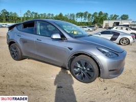 Tesla Model Y 2025 Tesla Model Y 2025