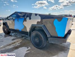 Tesla Pozostałe 2024