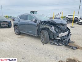 Lexus NX 2024 2