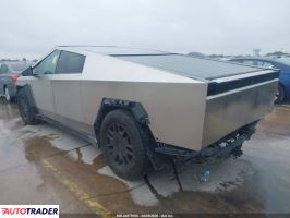 Tesla Pozostałe 2024