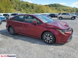 Toyota Corolla 2022 1