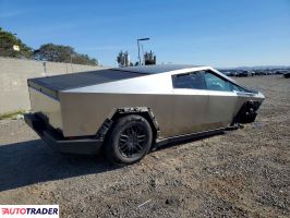 Tesla Pozostałe 2024