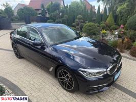 BMW 530 2019 3.0 265 KM BMW 530 2019 3.0 265 KM