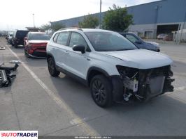 Volkswagen Pozostałe 2024 1