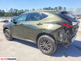 Lexus NX 2024 2