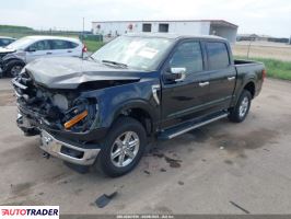 Ford Pozostałe 2024 2