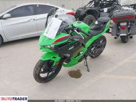 Kawasaki Pozostałe 2024 Kawasaki Pozostałe 2024