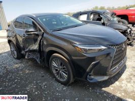 Lexus NX 2025 2 Lexus NX 2025 2