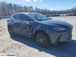 Lexus NX 2025 2