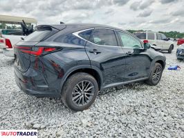 Lexus NX 2024 2