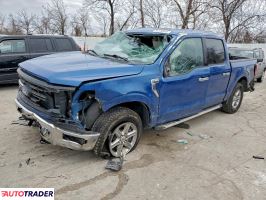 Ford Pozostałe 2024 5