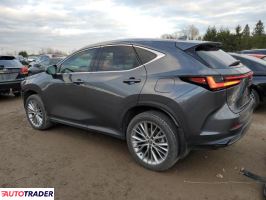 Lexus NX 2025 2