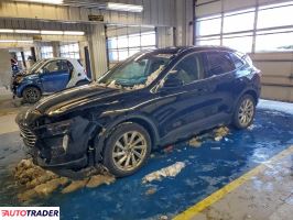 Ford Escape - zobacz ofertę