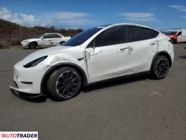 Tesla Model Y 2021 Tesla Model Y 2021