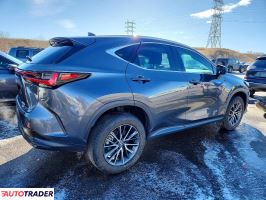 Lexus NX 2023 2