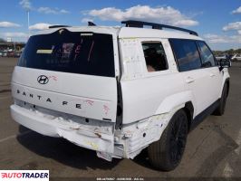 Hyundai Santa Fe 2024 2