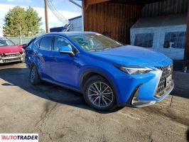 Lexus NX 2023 2
