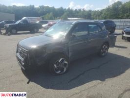 Hyundai Pozostałe 2024 1 Hyundai Pozostałe 2024 1