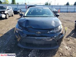 Toyota Corolla 2020 1