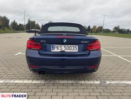 BMW Pozostałe 2018 2.0 251 KM
