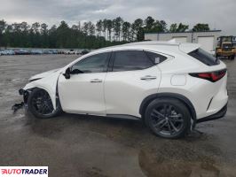 Lexus NX 2024 2
