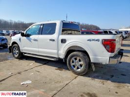 Ford Pozostałe 2024 2