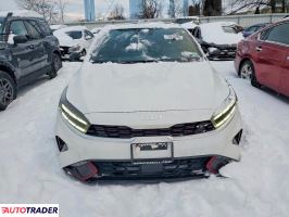 Kia Pozostałe 2024 1