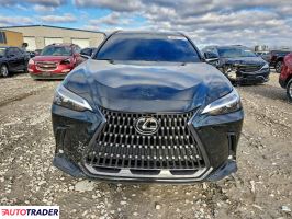 Lexus NX 2024 2