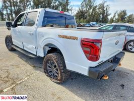 Ford Pozostałe 2024 3