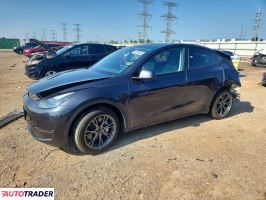Tesla Model Y 2025