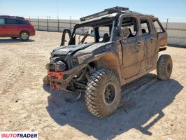 Polaris Pozostałe 2025