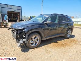 Hyundai Tucson 2024 2