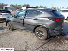 Lexus NX 2024 2