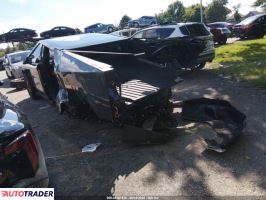 Tesla Pozostałe 2024