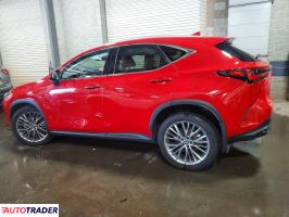 Lexus NX 2024 2