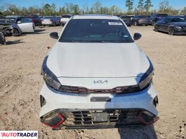 Kia Pozostałe 2024 2
