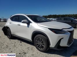 Lexus NX 2025 2