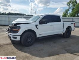 Ford Pozostałe 2024 3