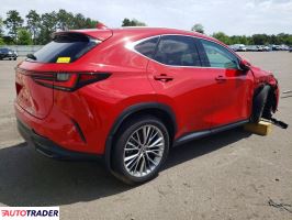 Lexus NX 2024 2