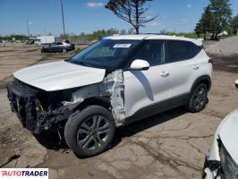 Kia Pozostałe 2022 2