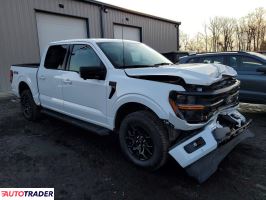 Ford Pozostałe 2024 3