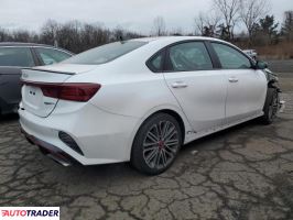 Kia Pozostałe 2024 1 Kia Pozostałe 2024 1