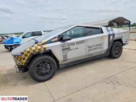 Tesla Pozostałe 2024