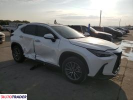 Lexus NX 2024 2