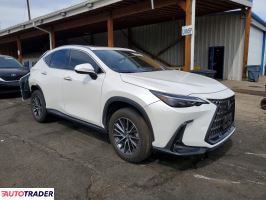 Lexus NX 2024 2